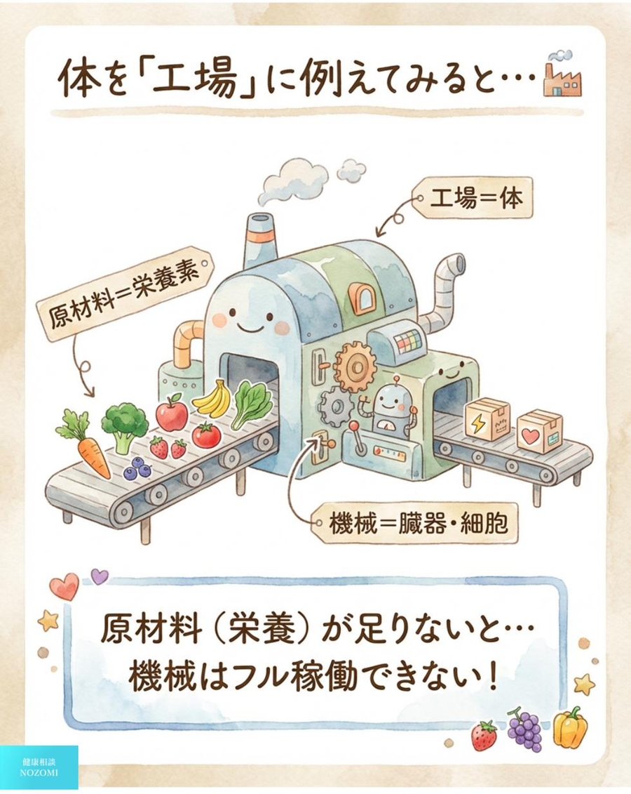 体を工場に例えた図。工場＝体、機械＝臓器・細胞、原材料＝栄養素。原材料（栄養）が足りないと機械はフル稼働できない