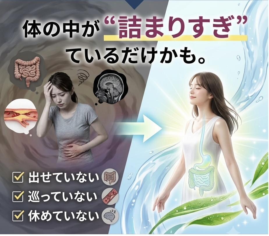 体の中が“詰まりすぎ”た状態から、巡りの良いスッキリとした体へ変わっていくイメージ