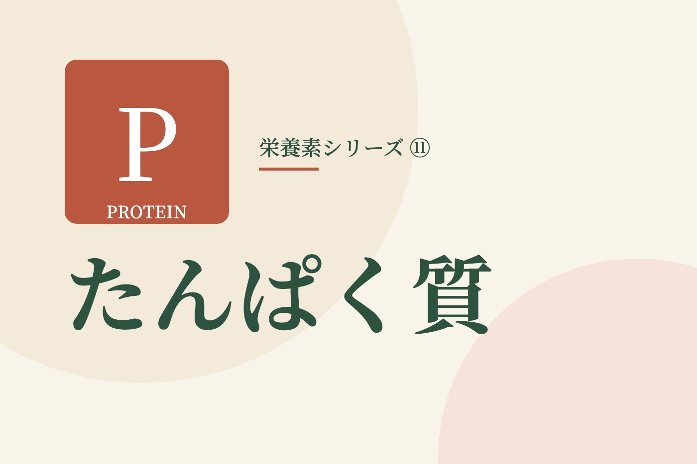 たんぱく質の文字