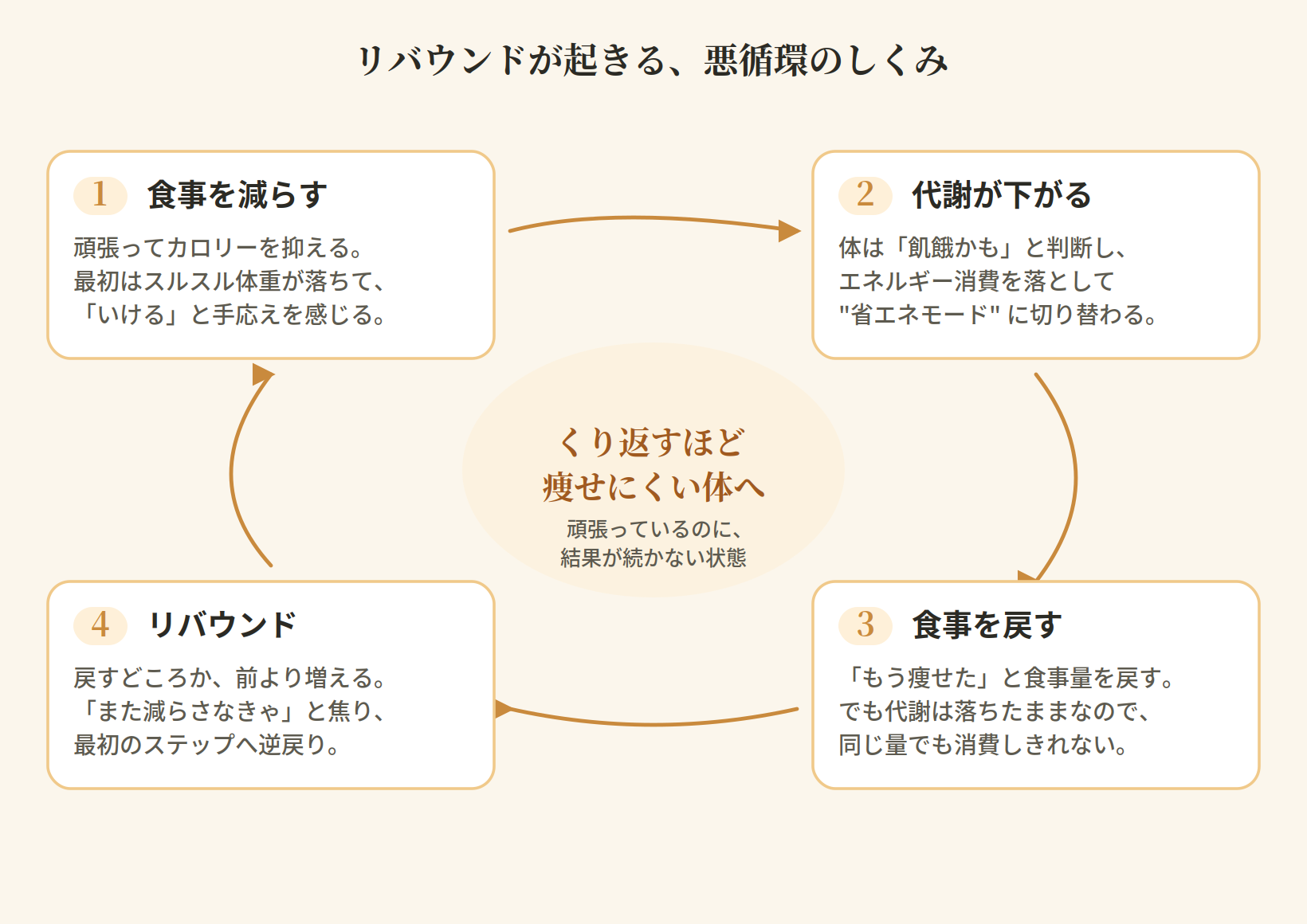 食事を減らす→代謝が下がる→食事を戻す→リバウンドという悪循環を4ステップで示した図