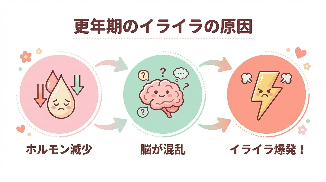 「また怒鳴っちゃった…」更年期のイライラが止まらないあなたへ。分子栄養学カウンセラーが教える体質ケアの方法🌿